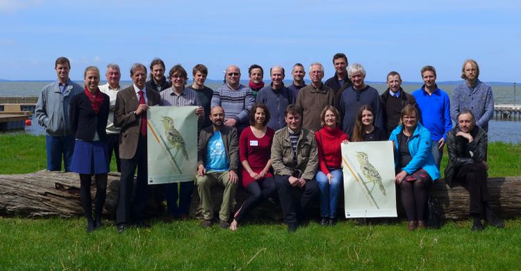 MOS3 participants